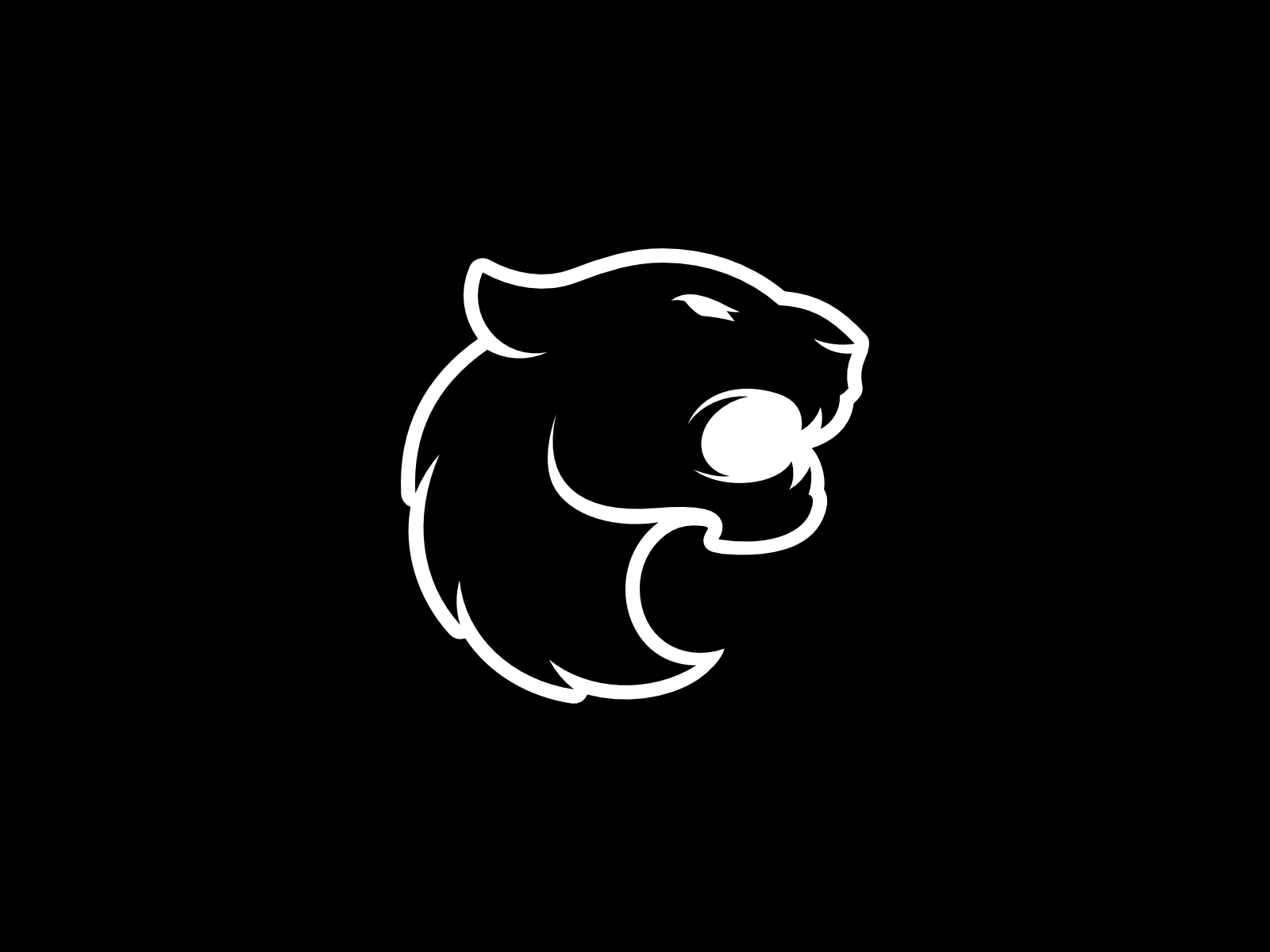 FURIA logo
