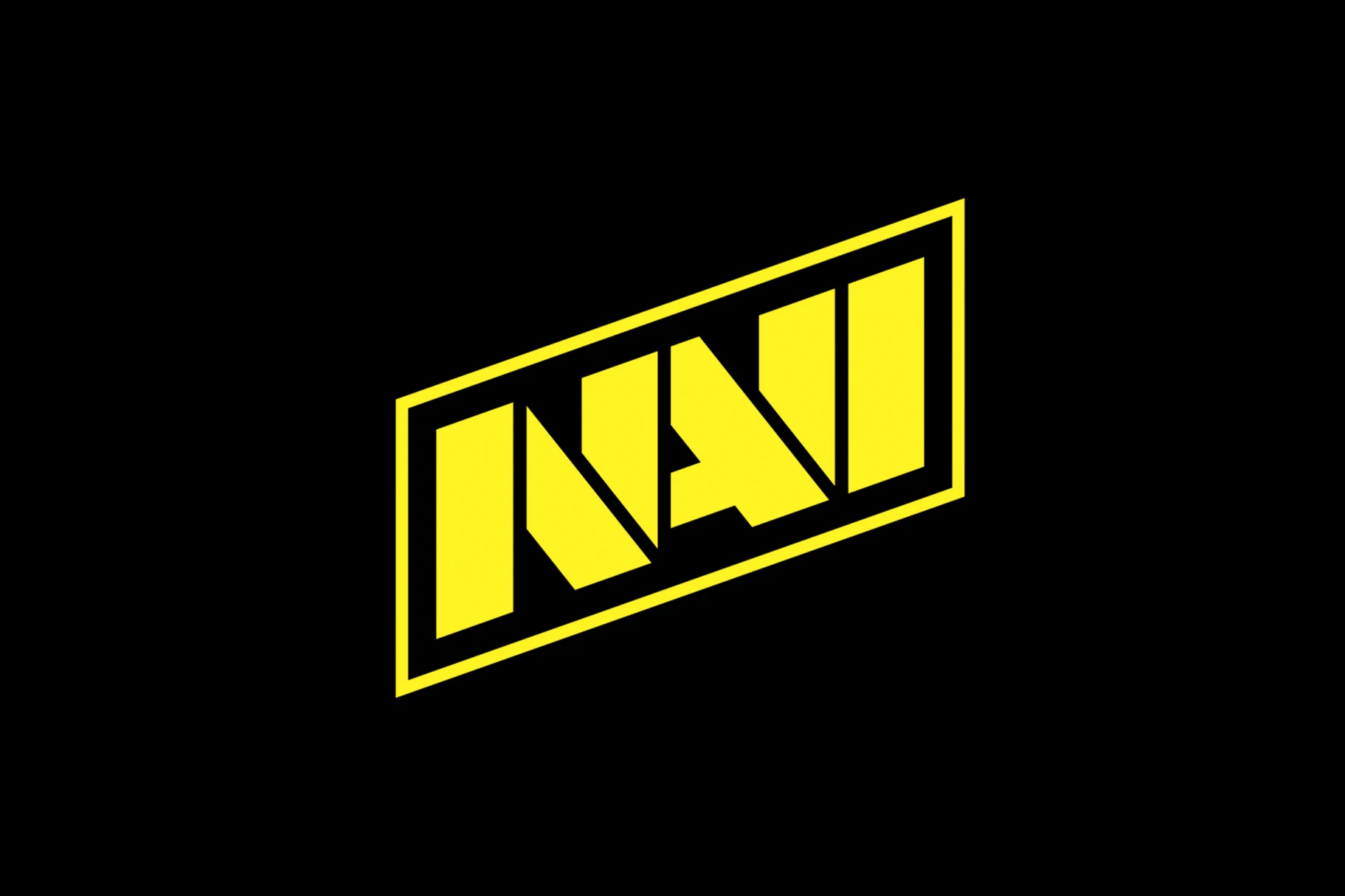 NaVi logo